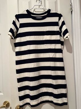 Everlane Striped Pocket T-Shirt Dress in Navy and White